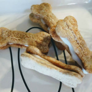 Bone Filled Sandwiches Iced Sweet Treats: Blanchard's Blessings Homemade Dog Treats