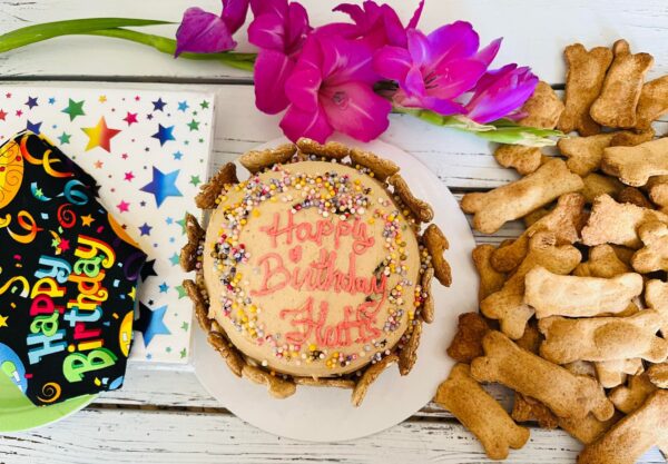 Doggy Doo! Pet Party Kit