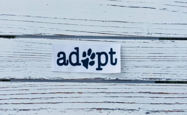 Adopt Decal