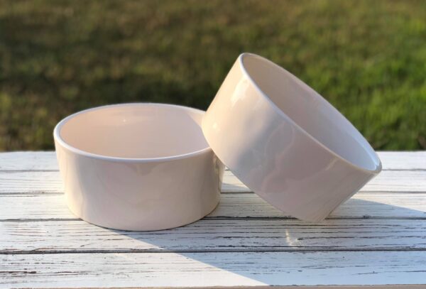 Feast - Rae Dunn Pet Food Bowl - Image 2