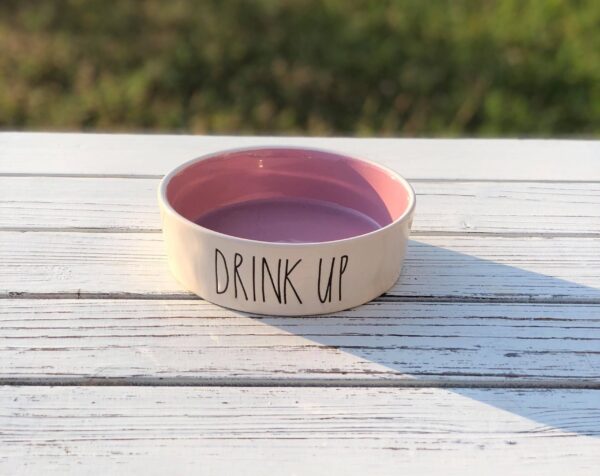 Drink Up - Rae Dunn Pet Food Bowl