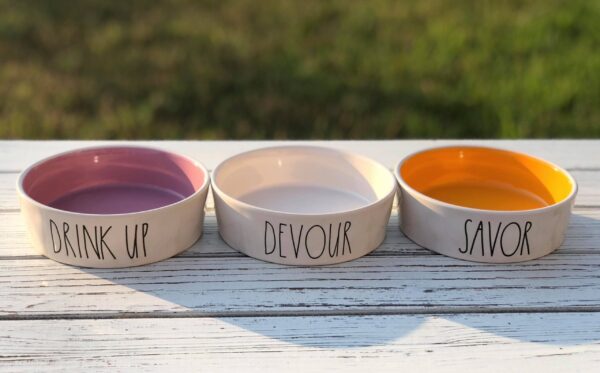 Savor - Rae Dunn Pet Food Bowl - Image 3