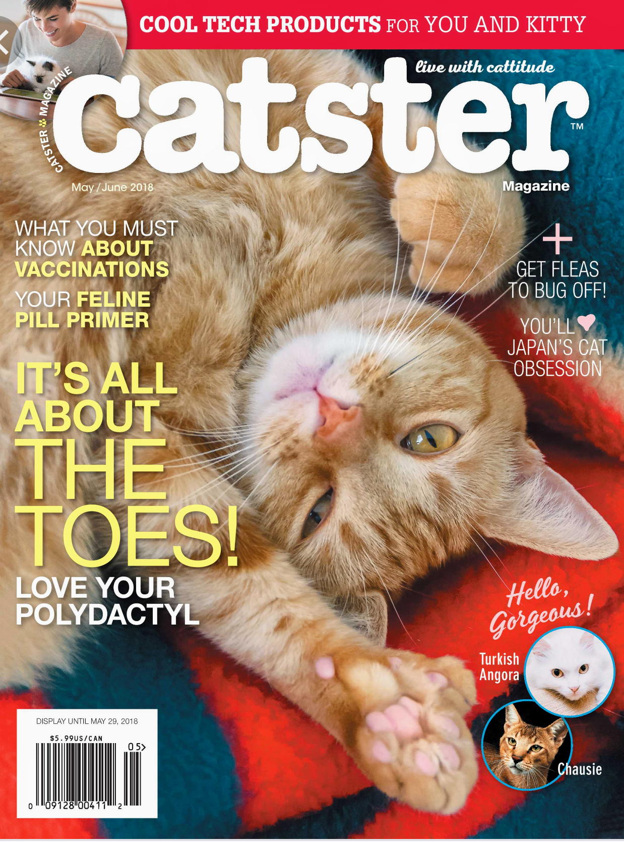 We made it into Catster Magazine!