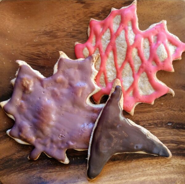 Fall Iced Dog Treats - Image 4