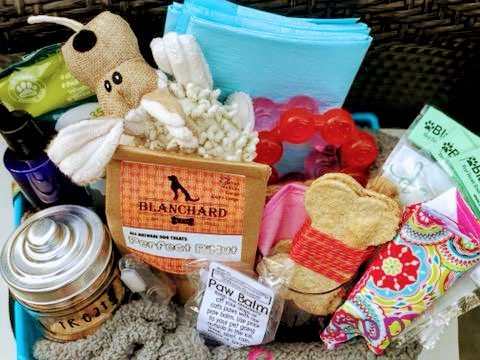 10 Things To Put In A Welcome To The Family New Dog Gift Basket