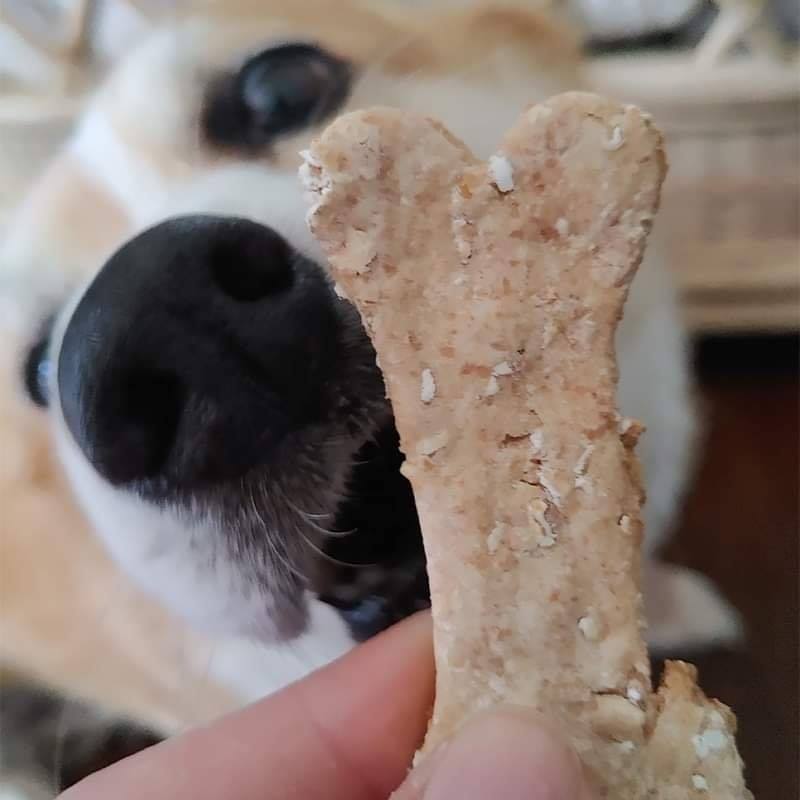 All Natural Baked Pet Treats