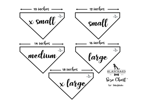 Size Chart for Bandanas Blanchard & Co Gibsonville NC 27249.jpg