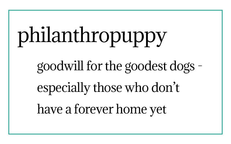 Philanthropuppy: Giving Back this Fall